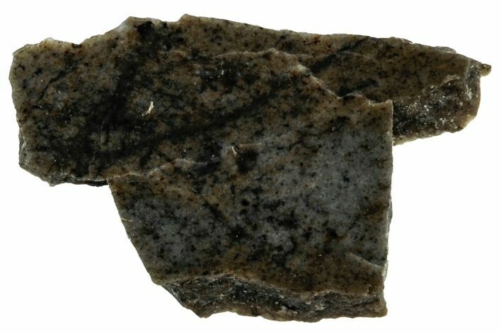 Rare, Lunar Basaltic Breccia Meteorite ( g) Slice - NWA #308444